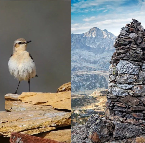 Èxit de la darrera Setmana de la pedra seca