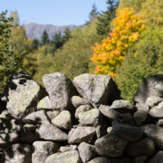 Jornades Transpirinenques pedra seca andorra