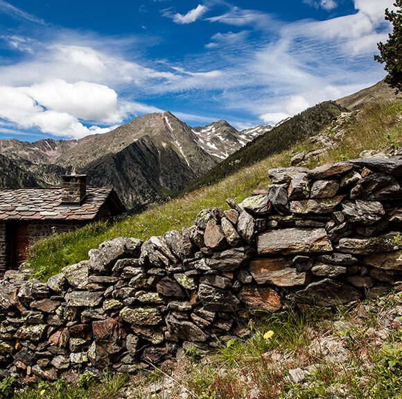 Percanela - Jaume Riba
